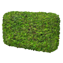 Hedge Textured